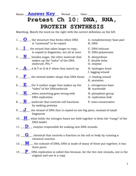 Give at least 2 examples of how enzymes and other proteins help in the process of replication. Chapter 8 From Dna To Proteins Worksheet Answers | Universal Network