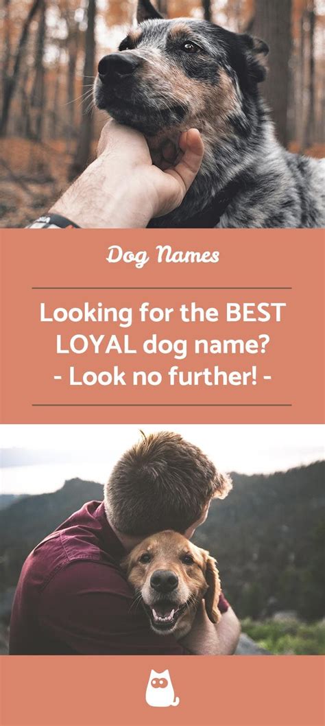 Choosing a name for your female puppy or dog requires a little inspiration and plenty of thought. Female Dog Names With Meaning Loyal - 150 Most Popular ...