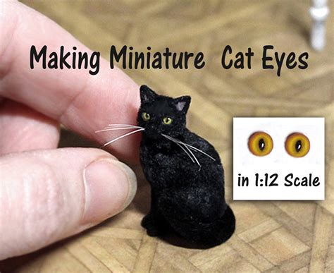 Now you can take care of your cat! Making Miniature Cat Eyes in 1:12 Scale [English ...