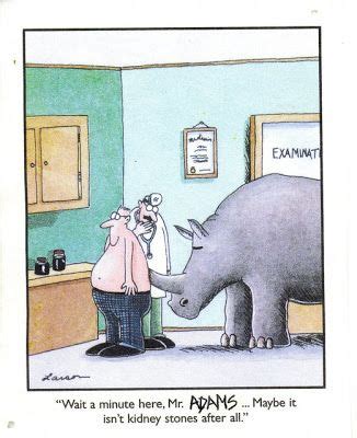 If you or a loved one has ever passed a kidney stone this is a perfect gift. Is it Wednesday Already...??? | Far side comics, Gary ...