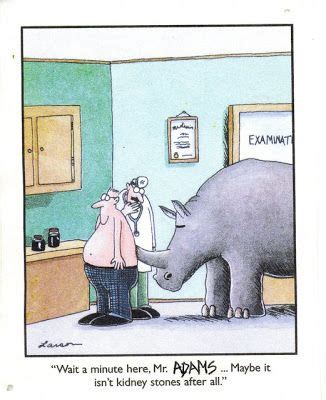 Kidney stone cartoons and comics funny pictures from. Is it Wednesday Already...??? | Far side comics, Gary ...