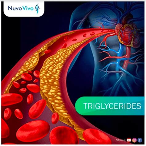 Triglycerides Nuvovivo