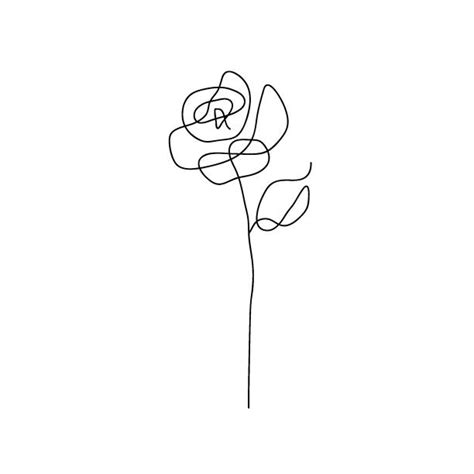 Download 2,021 flower line drawing free vectors. Rose Line Art Illustrations, Royalty-Free Vector Graphics ...