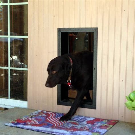 We got our solo pet door 5 years ago with the purchase of our new home. Solo Pet Doors, The Best Dog Door and Cat Door on the ...