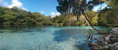 Silver Glen Spring Ocala National Forest Ocala Florida 3405x1448