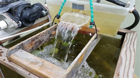 One of our staff members has a pump which sits on her dock with a hose and filter tip extending into the lake. Lake Water Filters