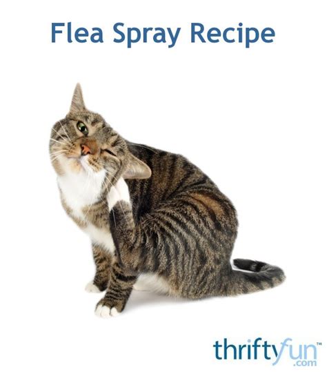 This post is part of the series: Homemade Flea Spray Recipe | ThriftyFun