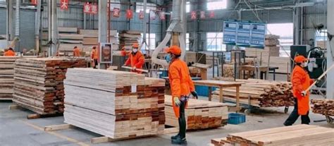 How Will COVID-19 Affect China’s Timber Industry?