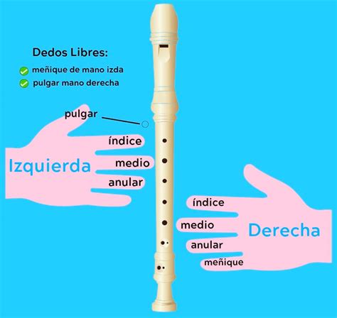 Como Tocar La Flauta Dulce Aprende Canciones