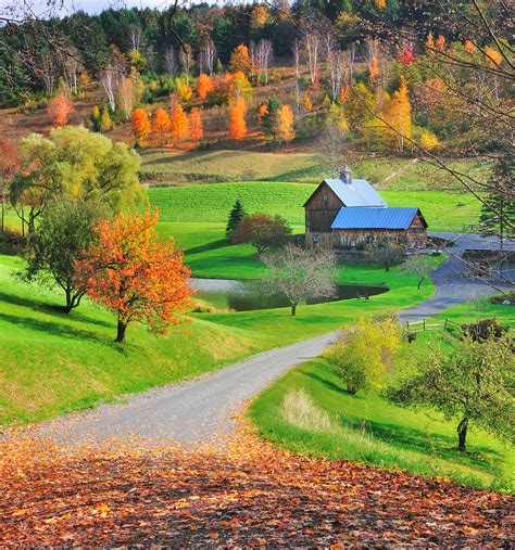 Sleepy Hollow Autumn Pomfret Vermont Photograph By Expressive