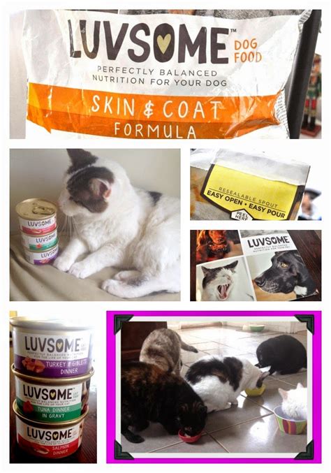 Luvsome is a delicious and easy way to show your pet the love, and keep our furry family members enjoying every moment of life. Product Review + Giveaway!: Luvsome Balanced Nutrition for ...