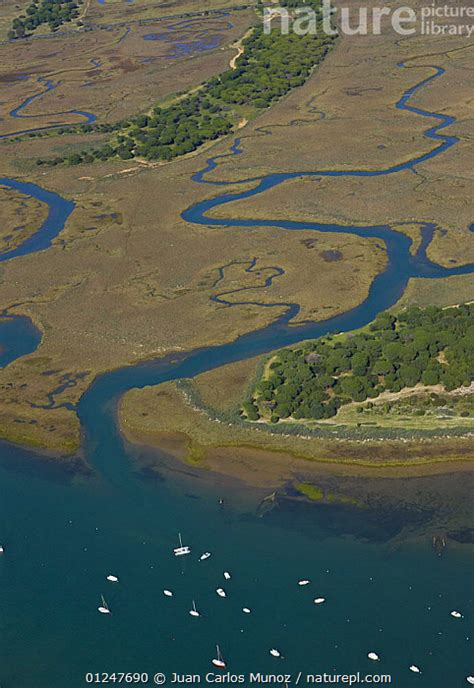 Stock Photo Of Aerial View Of River Tributaries Saltmarsh And Coast