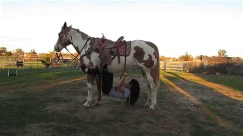 Top 15 tips to ride your man like a pro. 15 Different Ways to Ride Your Horse! - YouTube