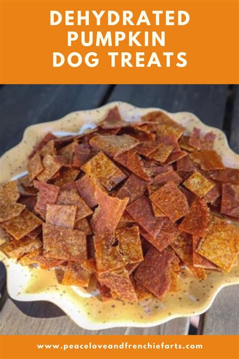 Dehydrated Pumpkin Dog Treats Updated 2022 Peace Love And