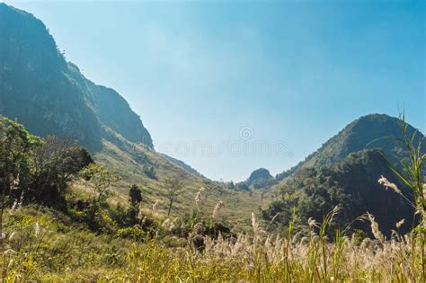 Doi Luang Chiang Dao Mountain Landscape Stock Photo Image Of Forest