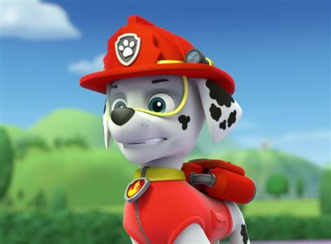 Marshall - Marshall - PAW Patrol Photo (40156678) - Fanpop