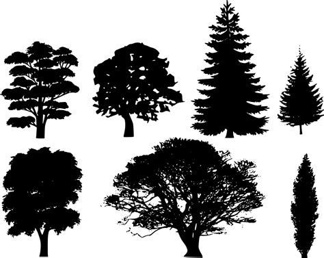 Dikenali sebagai boreal di amerika syarikat dan taiga di siberia. SVG > hutan oak merapikan pokok - Imej & Ikon SVG Percuma ...