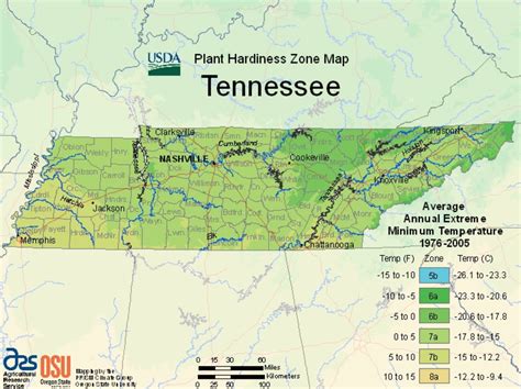 Plant Hardiness Zones Tennessee Climate