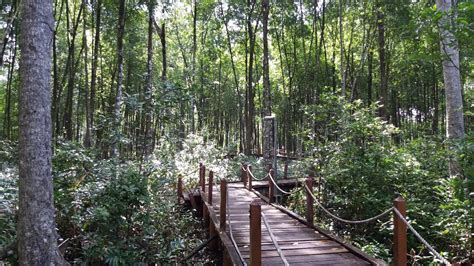 We did not find results for: Mohd Faiz bin Abdul Manan: Hutan Paya Laut Matang