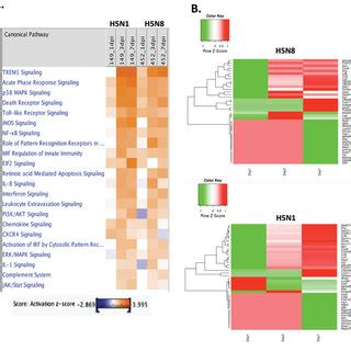 Outbreaks of avian influenza (h5n8) have been detected in multiple countries across europe. Global overview of the RNA-seq data of H5N8- and H5N1-infected mice... | Download Scientific Diagram