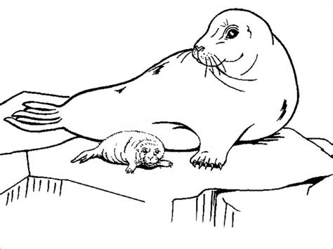Printable Arctic Animal Coloring Pages Coloringbay