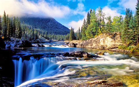 Nature Mountain Dense Spruce Forest River Rock Waterfall Background