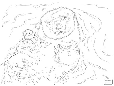 Download Otter Outline Drawing at GetDrawings | Free download