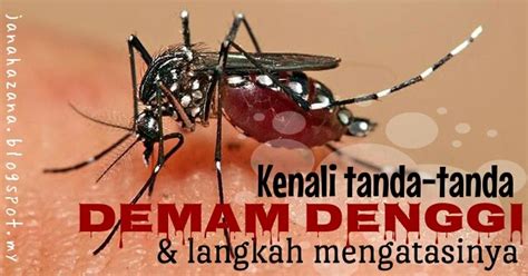 Jangan tersilap demam biasa dengan demam denggi, jadi. Tanda-tanda demam denggi dan langkah mengatasinya - Jana ...