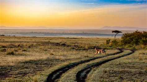 Serengeti Tanzania Nature Travel Africa