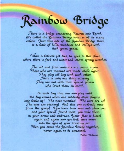 Just this side of heaven is a place called rainbow bridge. what to say when a dog dies | waterbirthplease