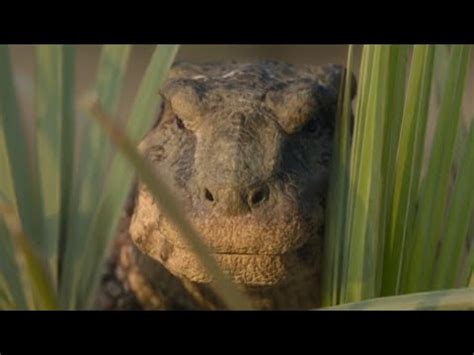 Plant Eating Crocodiles In Pre Historic Planet Season Simosuchus Youtube