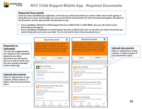 NYS HRA ACCESS APPLICATION — Hai's Portfolio