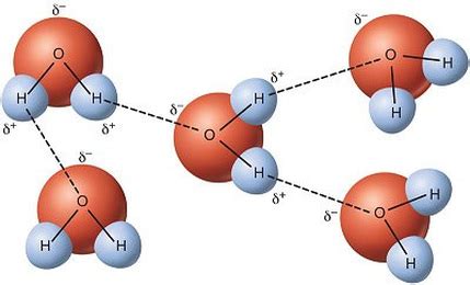 Molecules march 1, 2014 partners: Hydrogen Bonds - INTERMOLECULAR FORCES