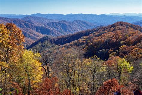 The Amazing Life Great Smoky Mountains National Park