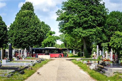 Highlights In Wien Der Zentralfriedhof