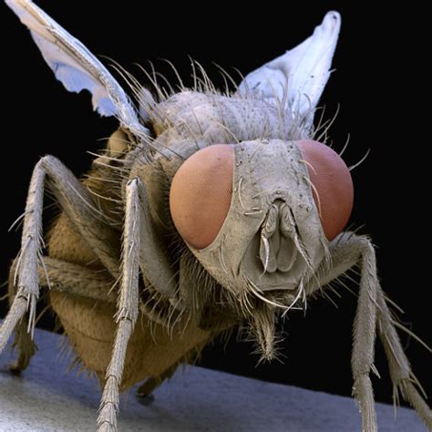 Check spelling or type a new query. Ordinary Everyday Items Look So Cool under a Microscope ...