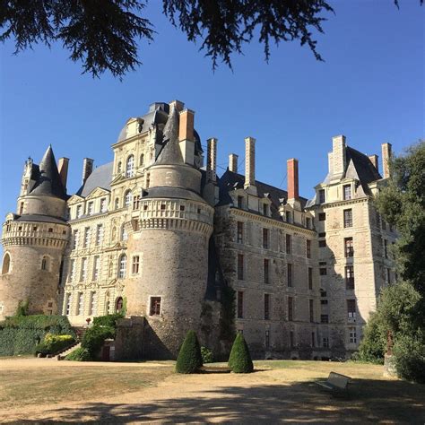 Château De Brissac Brissac Quince 2019 Ce Qu Il Faut Savoir Pour Votre Visite Tripadvisor