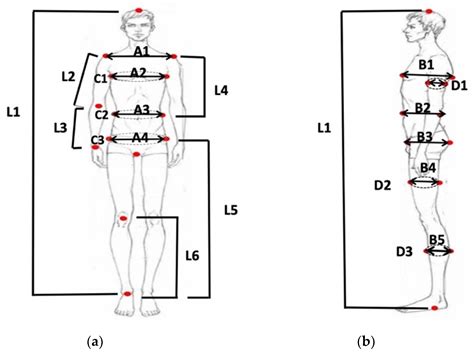 Symmetry Free Full Text Anthropometric Landmarks Extraction And