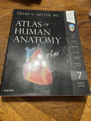 Atlas Of Human Anatomy Netter Basic Science 7th Edition By Frank H