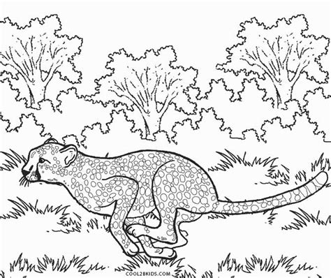 The cheetah is a large carnivorous mammal belonging to the family felidae.it lives in africa and in a few parts of the middle. Printable Cheetah Coloring Pages For Kids | Cool2bKids
