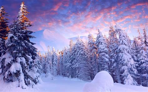 Inspirasi Terkini Snow Landscape