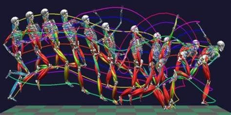 Biomechanics - Assignment Point