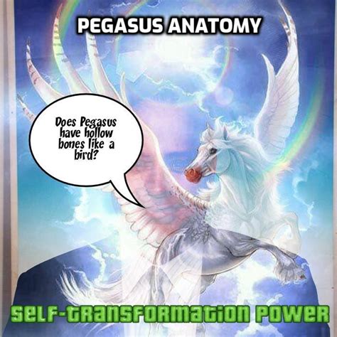 329) Pegasus Anatomy – Foxhugh Superpowers List