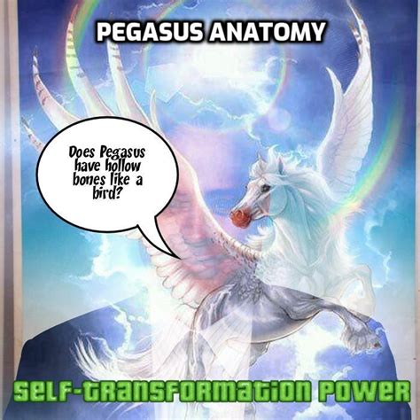 329 Pegasus Anatomy Foxhugh Superpowers List