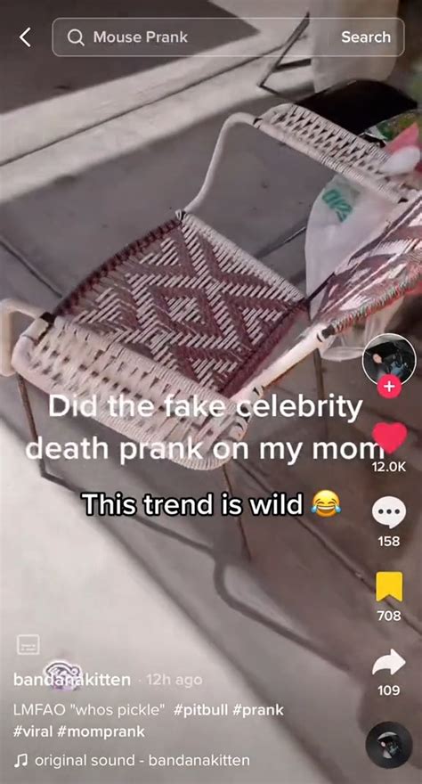 tiktok users spent christmas pranking their stunned relatives with fake death reports about cher