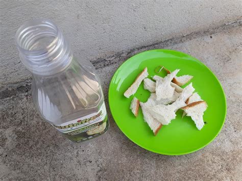 Sukaran dan penggunaan baja foliar terbaik ezigrow. Petua Ringkas Suburkan Tanaman Guna Baja Roti. Cara Buat ...