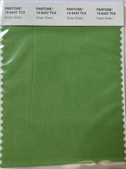 Pantone Tcx Cotton Swatch Card 15 6423 Tcx Forest Shade