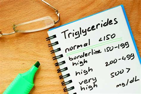 What S Considered A Normal Triglyceride Level University Health News