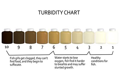 Water Turbidity Definition