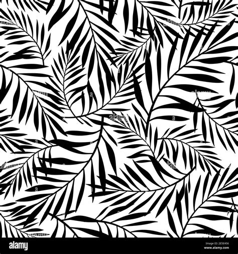Vector Black And White Seamless Pattern With Palm Leaves Stock Vector